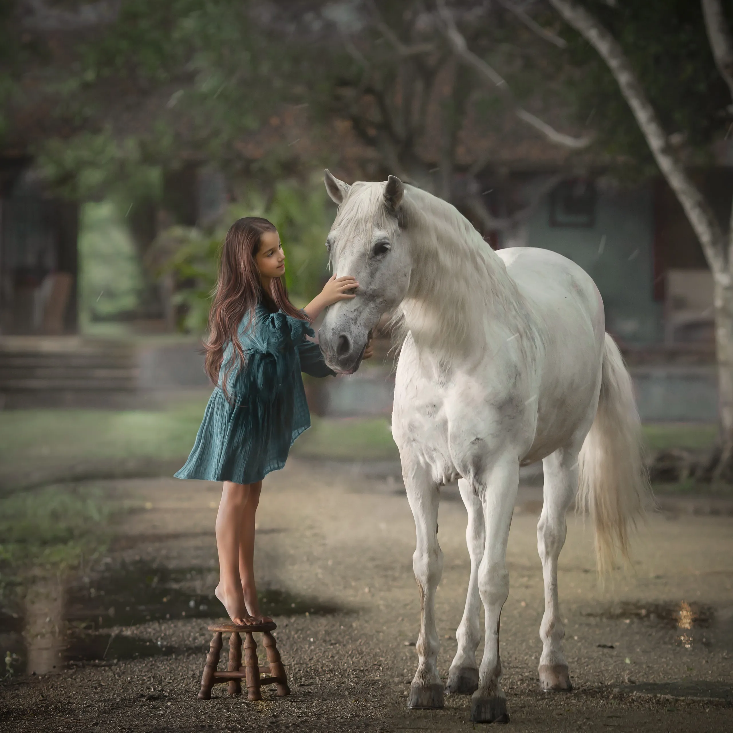 fineart 40